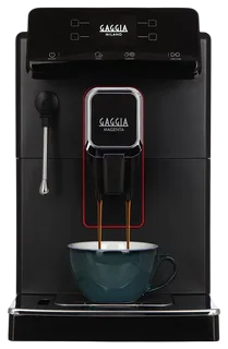 Замена капучинатора Gaggia Magenta Plus BK 8700